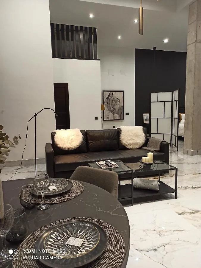 Dream Loft Apartment Puente Genil
